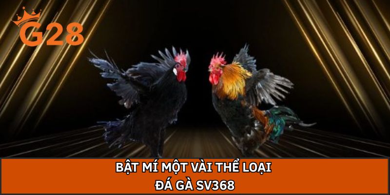 Bật mí một vài thể loại đá gà sv368