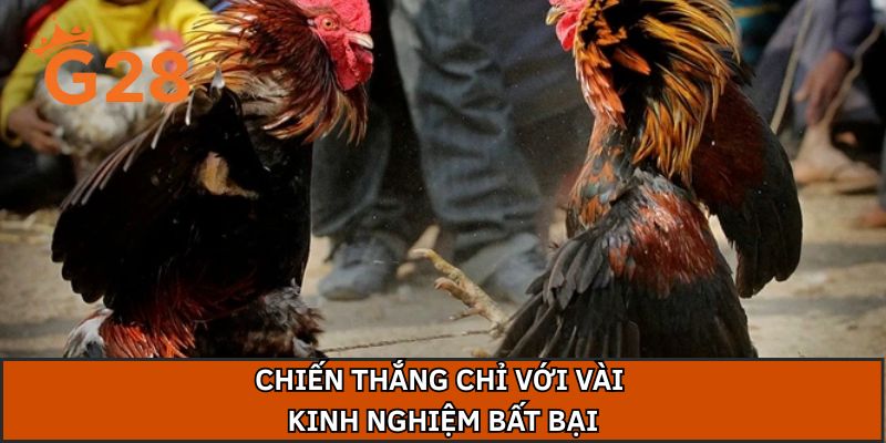 Chiến thắng chỉ với vài kinh nghiệm bất bại