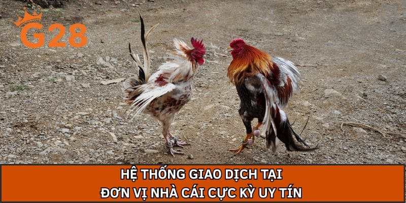 Hệ thống giao dịch tại đơn vị nhà cái cực kỳ uy tín 