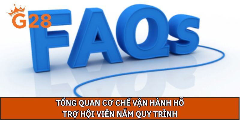 Tổng quan cơ chế vận hành hỗ trợ hội viên nắm quy trình